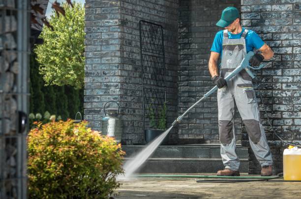 Best Driveway Pressure Washing  in Avonia, PA